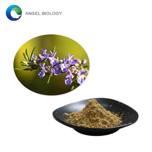 Can Rosemary Extract Powder Reduce Inflammation Naturally?